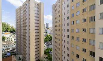 Imagem 7: Apartamento para Aluguel - Cambuci, 2 Quartos, 40 m2