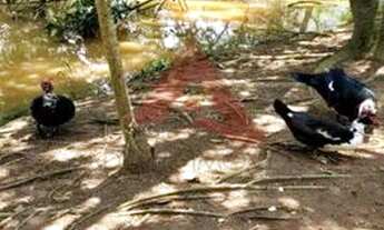 Imagem 7: JACAREí - Terreno Padrão - Jardim São Gabriel