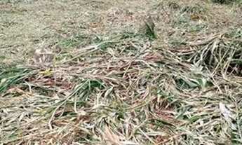 Imagem 2: Vendo ou troco Terreno / lote com venda por R$30.000