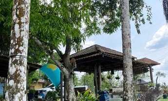 Imagem 2: Fazenda/Sítio/Chácara para venda tem 625000 metros quadrados em Centro - Presidente Figuei