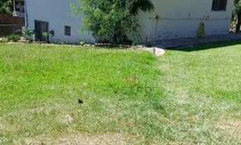 Imagem 3: Casa na Barragem do Salto em São Francisco de Paula!