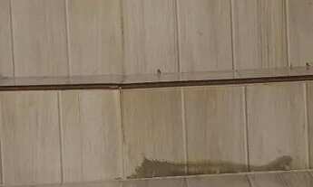 Imagem 7: VENDO IMÓVEL Casa com 3 dormitórios