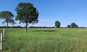 Imagem 6: 20 mil m² a 15 km de CG