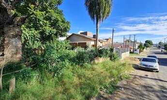 Imagem 2: NOVO HAMBURGO - Terreno Padrão - Rondônia