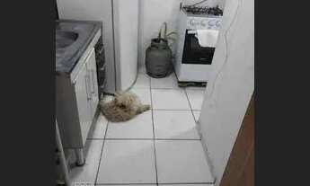 Imagem 6: Apartamento para alugar no bairro recanto dos Lagos