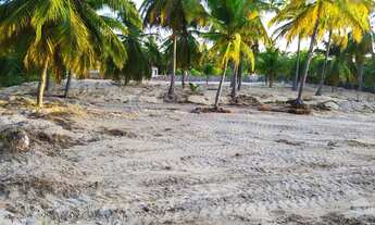 Imagem 7: Vendo terreno na praia de caetanos Amontada, de frente 40 metros e de fundo 60 metros