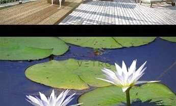 Imagem 2: Terreno no Vale das Colinas em Gramado!