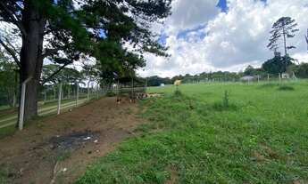 Imagem 7: Chácara de 8.000 m² em Mairinque