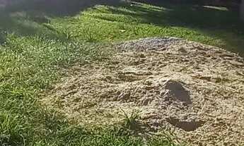 Imagem 4: Casa 3 quartos Casa com 3 dormitórios