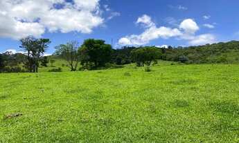 Imagem 4: Terreno com a topografia boa