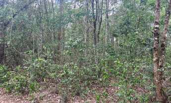 Imagem 6: Fazendinha 20.000 m², agua nos fundos, casa, terra fértil, Jaboticatubas