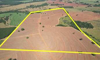 Imagem 2: 82% de CANA em Nhandeara