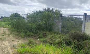 Imagem 6: Excelente terreno para alugar 50 metro saindo da Avenida Nóide Cerqueira