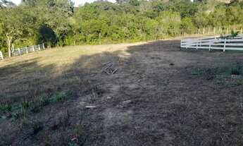 Imagem 2: Chácara em Mandirituba