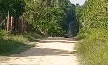 Imagem: Terreno Novo Airão