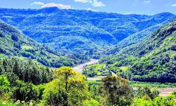 Imagem 5: Sítio / Chácara para Venda em Nova Petrópolis, Linha Pirajá Alta