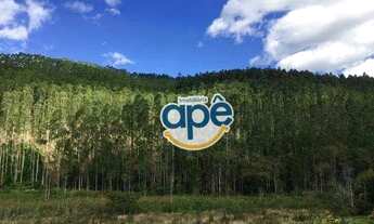 Imagem: Terreno à venda, 340000 m² por R$ 5.000.000,00