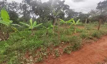 Imagem 2: Vendo ótima chácara no assentamento pequeno willian