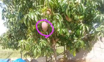 Imagem 4: Casa em construção