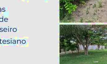 Imagem: SÍTIO EM CONCEIÇÃO DO JACUÍPE - 15 TAREFAS