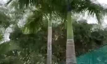 Imagem 2: Casa condomínio Monte Belo três suites