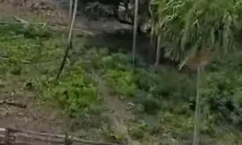 Imagem 3: Fazenda Corumbá 2002 hectares