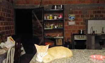 Imagem: VENDO SÍTIO NA REGIÃO DA ESTACA ZERO