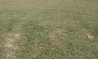 Imagem 4: TERRENOà VENDA NO COSTÃO GOLF LOTE 38