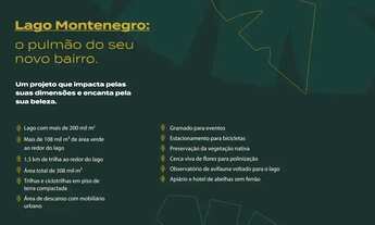 Imagem 4: LOTE REPASSE PALMEIRA AZUL LAGO MONTENEGRO