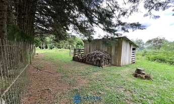 Imagem 7: Chácara com 2 ha de terra no São Victor Cohab