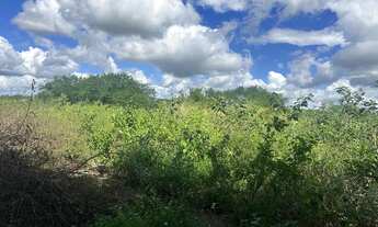 Imagem 7: Tarefas de terra