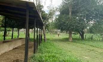 Imagem 7: Vende-se Chácara pesqueiro barranco alto 2