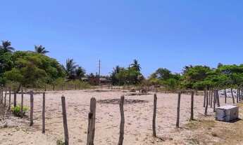 Imagem 2: Terreno no Jatobá Barra dos Coqueiros