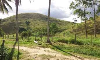 Imagem 5: Venda-se está propriedade de 26 Alqueires no Município de Mimoso do Sul/ES