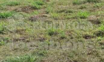 Imagem 4: Terreno Condomínio em São José do Rio Preto