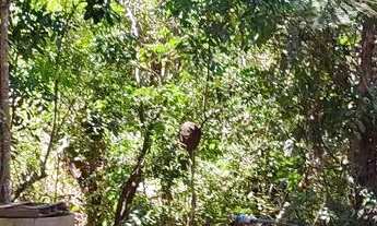 Imagem 5: Chácara em Aragoiania