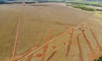 Imagem 7: Fazenda de 165 alqueires a venda em Jandaia-Go