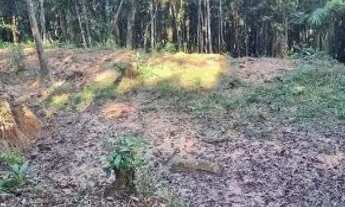 Imagem 2: Terreno 40mil metros Juquitiba