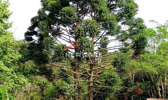 Imagem 7: Sítio em Cunha - Centro - Cunha/SP