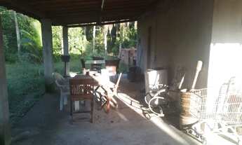 Imagem 2: Vendo Sítio em Alecrim ( Distrito de cachoeira Ba