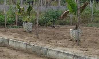 Imagem: Terreno em são José