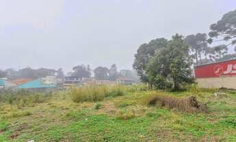 Imagem 2: Terreno Residencial para Venda em São José dos Pinhais