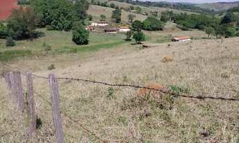Imagem 3: Terreno de 20.000 m² , Só Pasto em Piracaia