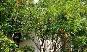 Imagem 5: Casa de condomínio em Rua Conde de Oriola - Jardim Ângela (Zona Sul) - São Paulo/SP