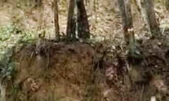 Imagem 2: Ocean vende: Niterói, Vila Progresso, terreno 420M², aclive c/ platô. 300metrôs Country Cl