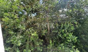 Imagem 5: Apartamento à venda, Vila Cidade Jardim, Parque Braga, Botucatu, SP