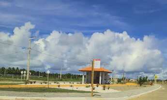 Imagem 5: LOTE POSIÇÃO OESTE - RAINHA DOS LOTES