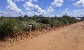 Imagem 3: Terreno em Oeiras Piauí R$28.000