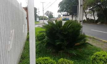 Imagem 6: Casa Comercial ou Residencial Boa Vista. Vendo