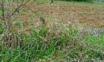 Imagem 6: Chácara no Incra 09 Ceilândia - DF